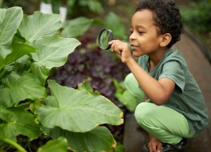 A boy looking at a plant with a magnifying glass